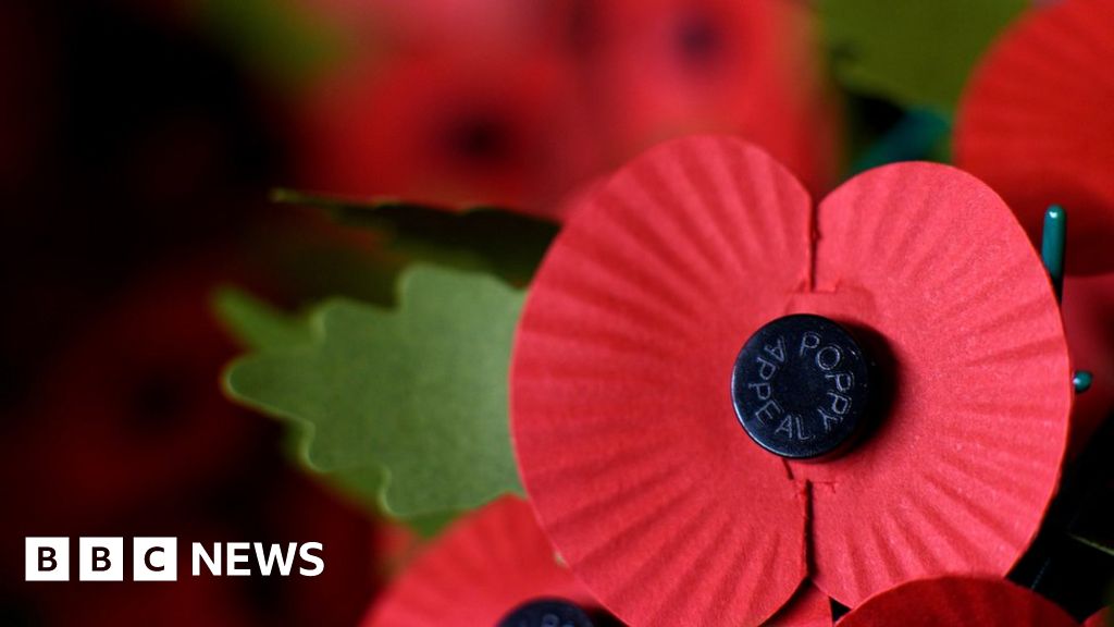 five-reasons-people-don-t-wear-poppies-bbc-news