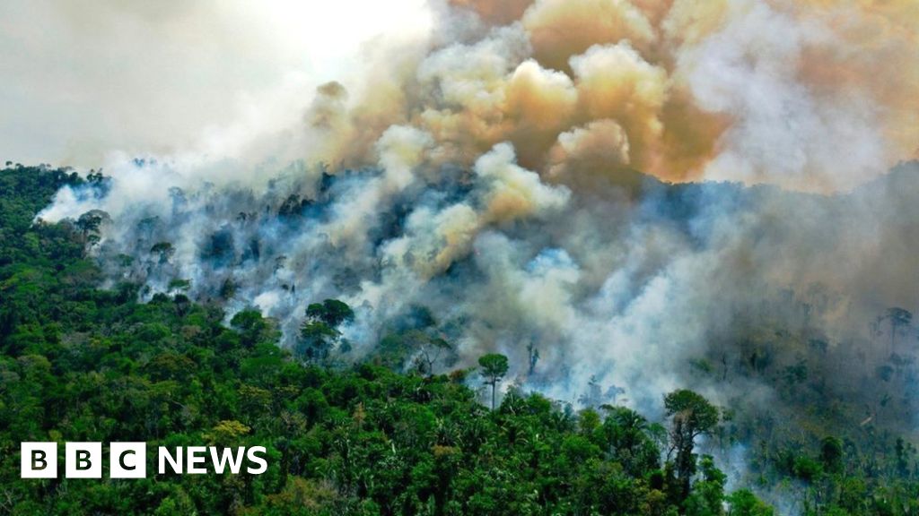 Amazon fires: Are they worse this year than before?