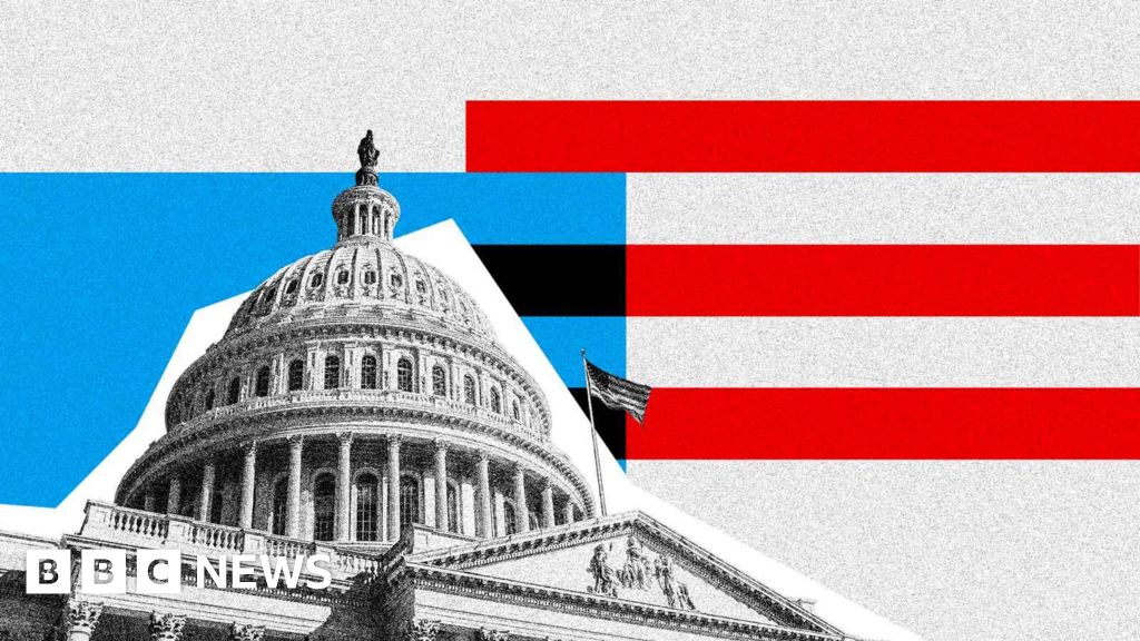 US midterms: Here's what you need to know
