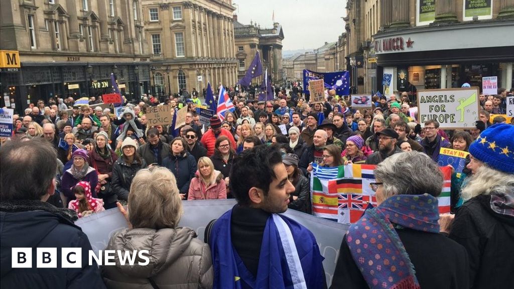 Newcastle pro-EU rally attracts hundreds - BBC News