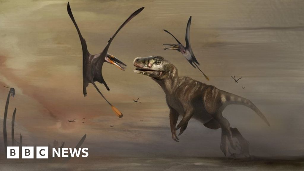 Fossil of largest Jurassic pterosaur found on Skye
