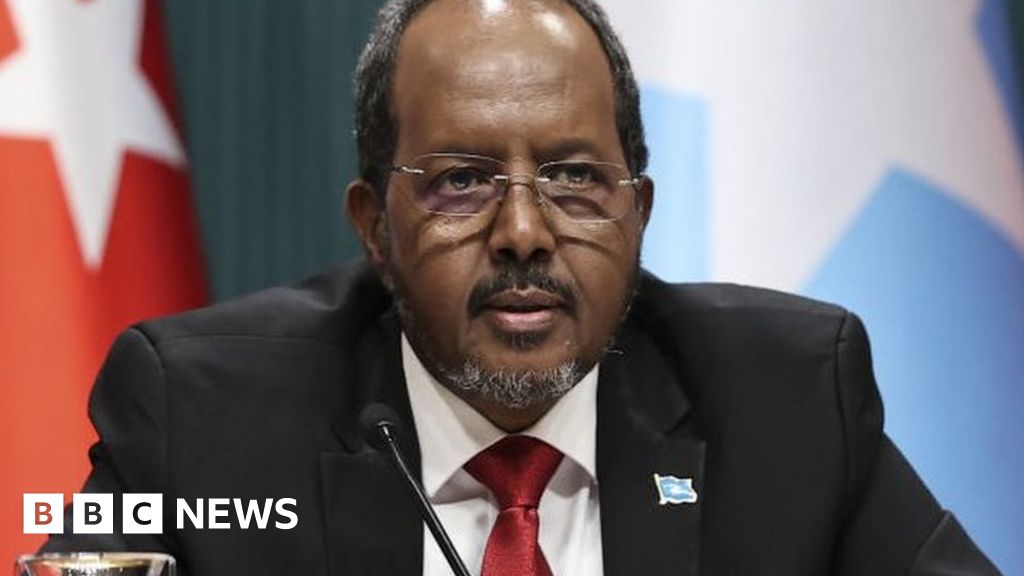 Arrest warrant for Somali president’s son over crash – BBC News