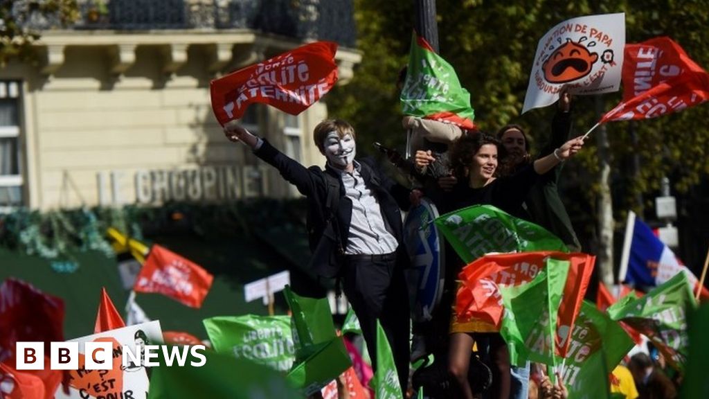 France IVF bill: Protests gather thousands in Paris