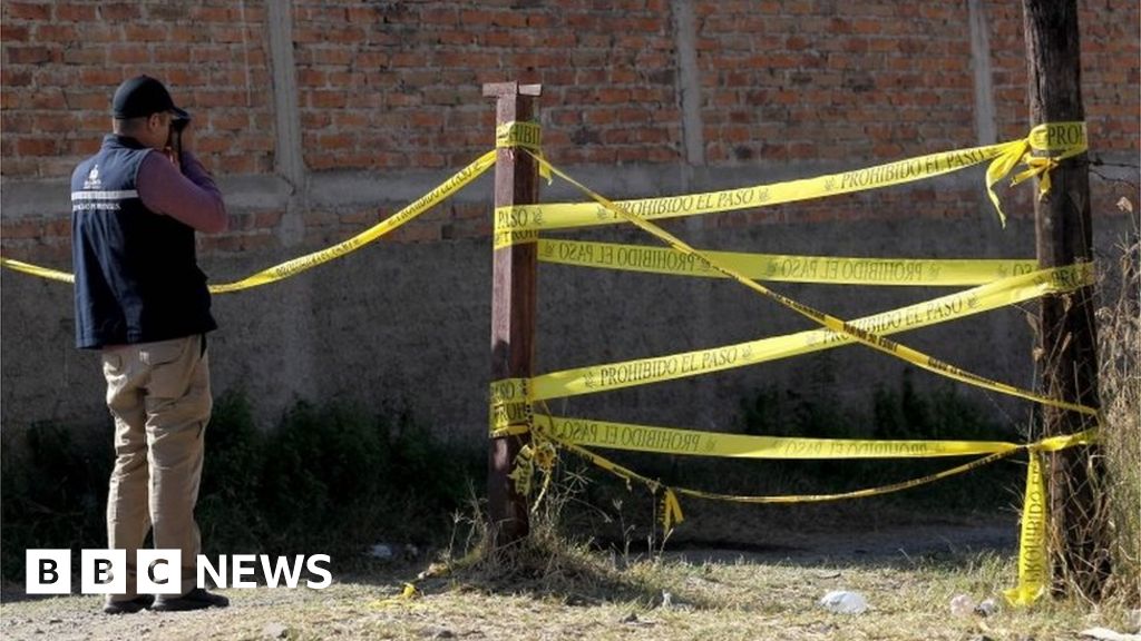 Mexico mass grave holding 29 bodies found near Guadalajara thumbnail