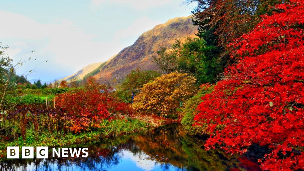 your-pictures-of-scotland-25-october-1-november-bbc-news