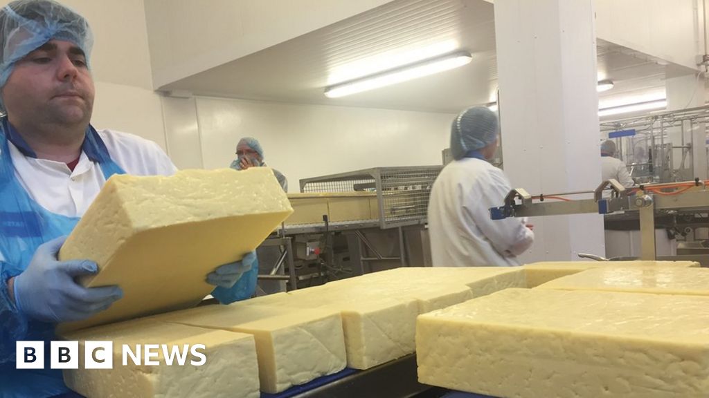 Dale Farm solar farm to power cheese making plant BBC News