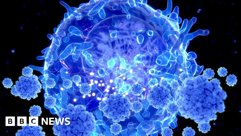 Coronavirus: Immunity may be more widespread than tests suggest - BBC News