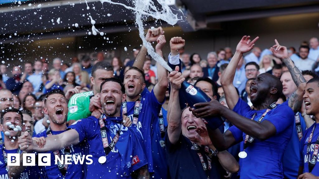 Cardiff City fans are excited as there is a chance of the team being  promoted - InterCardiff