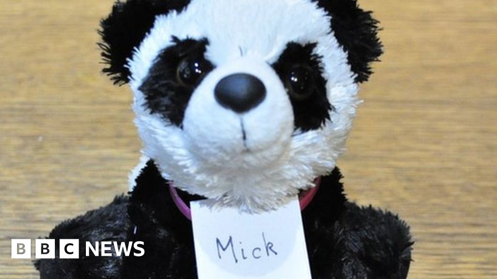 Turnip Prize 2021: 'Panda Mick' wins spoof art award