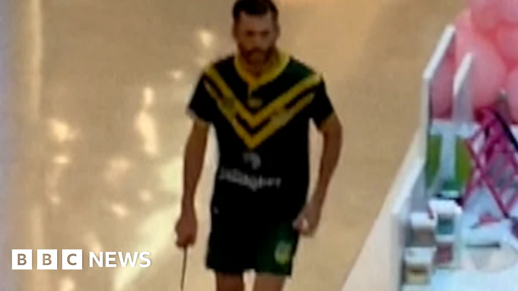 Bondi stabbing: How killer Joel Cauchi slipped through the cracks