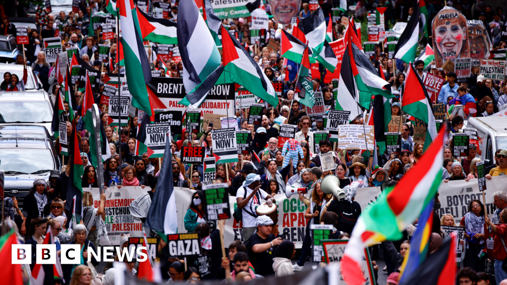 Pro-Palestinian marches have been hijacked, says minister