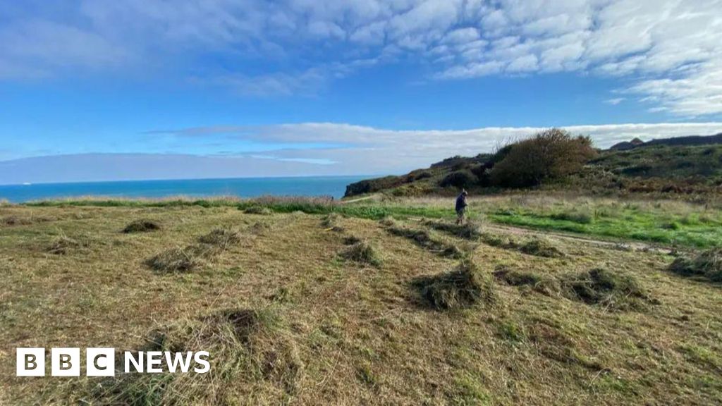 Torbay Council did not participate in land handover, says charity