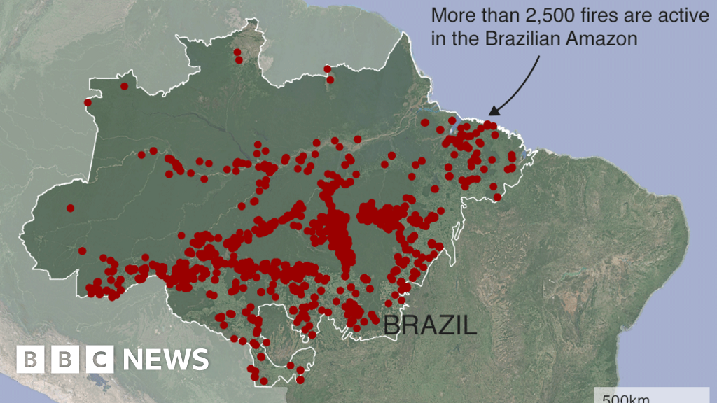 The Amazon is on fire - how bad is it?