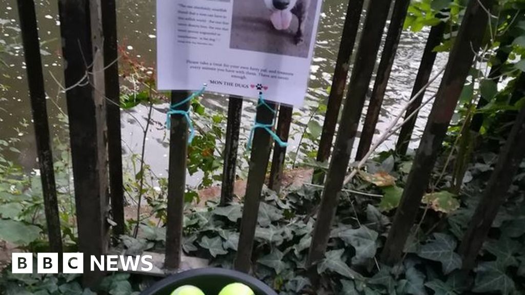 Tennis ball memorial tribute to dog goes viral BBC News
