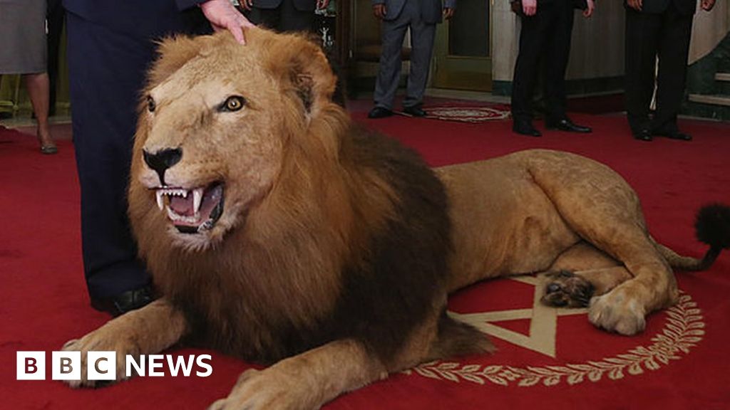 UK plan to ban animal trophies too slow - conservation groups