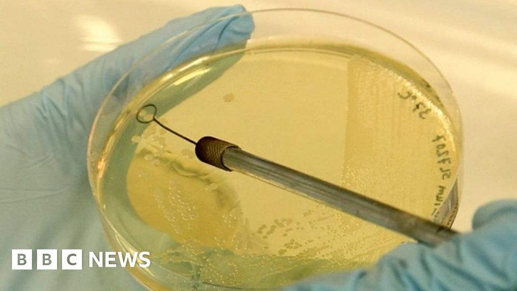 Salmonella 'game-changer' could shrink cancer cells