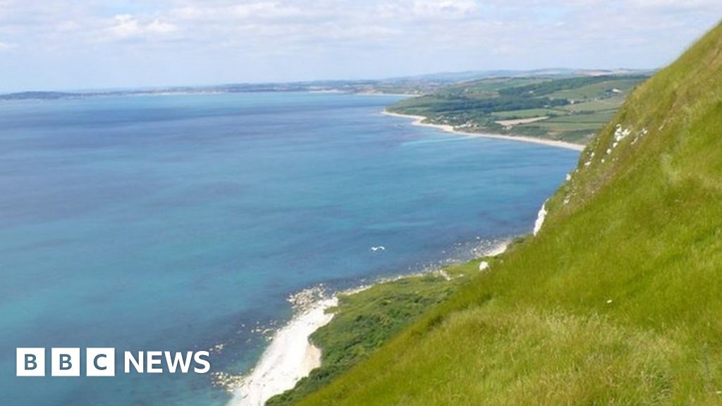 Body found in search for missing Dorset diver Matthew Green - BBC News