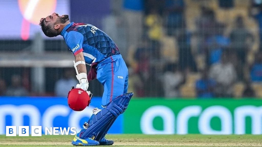 World Cup 2023: Afghanistan's dazzling run captivates cricket