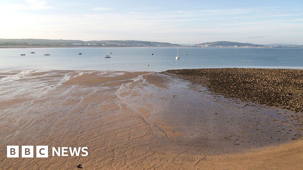 Swansea seafront 'risks being overdeveloped' BBC News