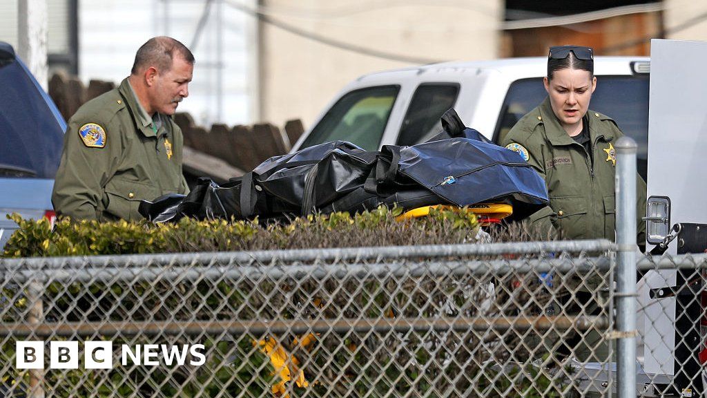 Baby among six killed in possible cartel attack in California – BBC