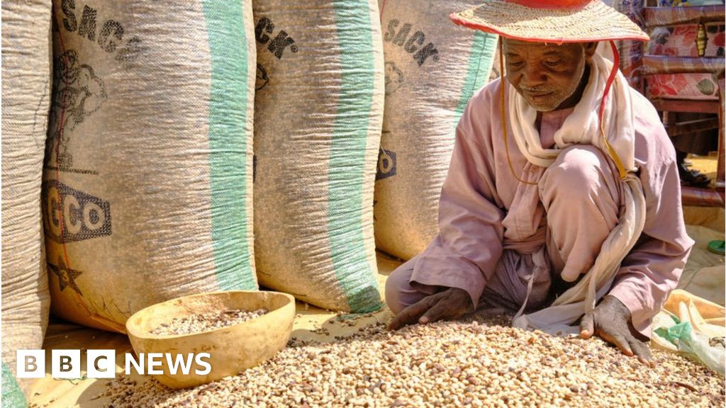 Nigeria's President Bola Tinubu declares state of emergency over food