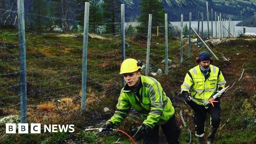 Norwegians Laugh At New Fence On Russian Border Bbc News