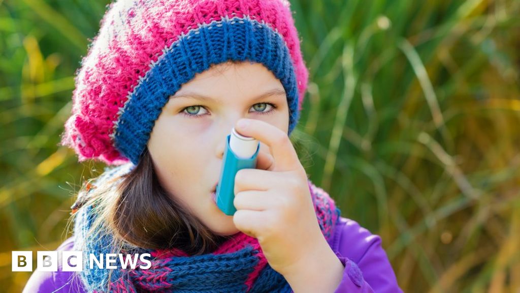 Asthma carbon footprint 'as big as eating meat'