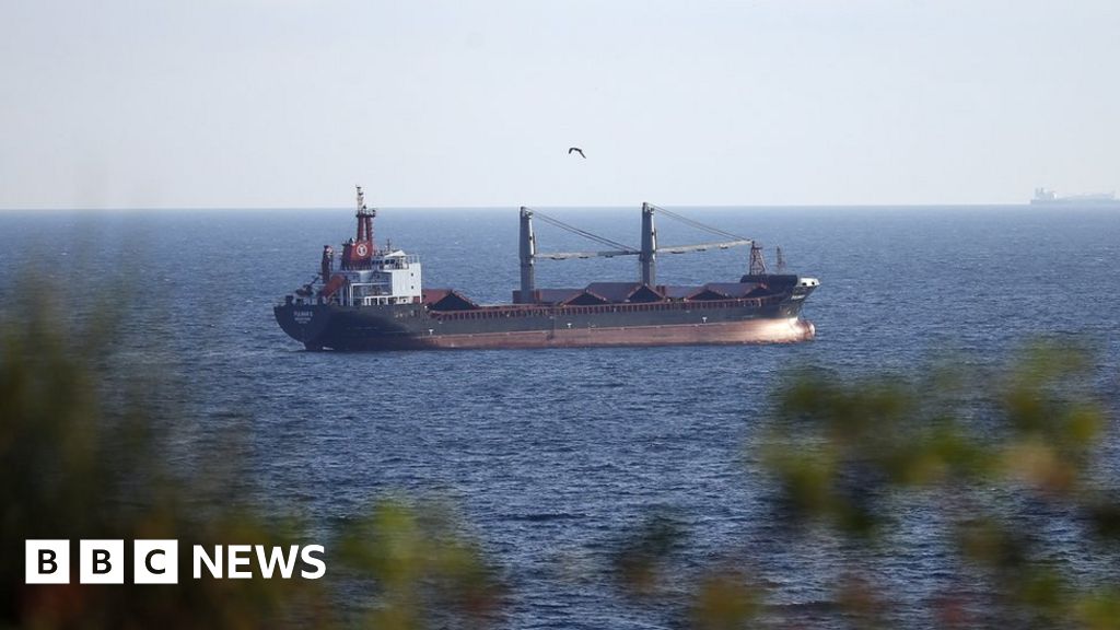 Ukraine war: Four more grain ships leave Ukraine as hopes grow for export stability