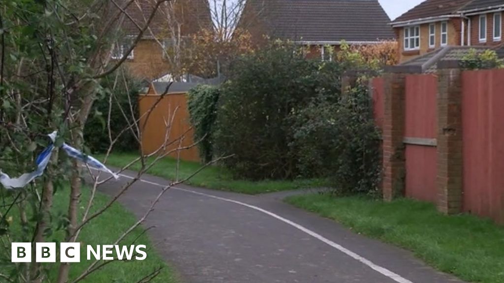 Woman sexually assaulted in Bicester alleyway - BBC News