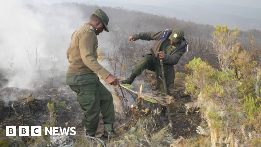 Kilimanjaro: Fire breaks out on Africa's tallest mountain