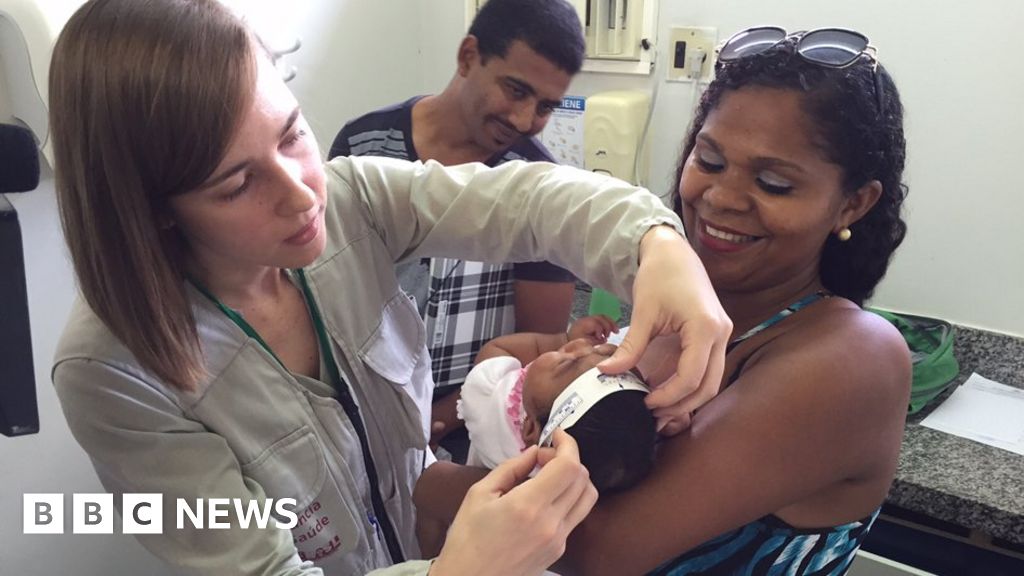 Teaming Up To Fight Zika Bbc News 