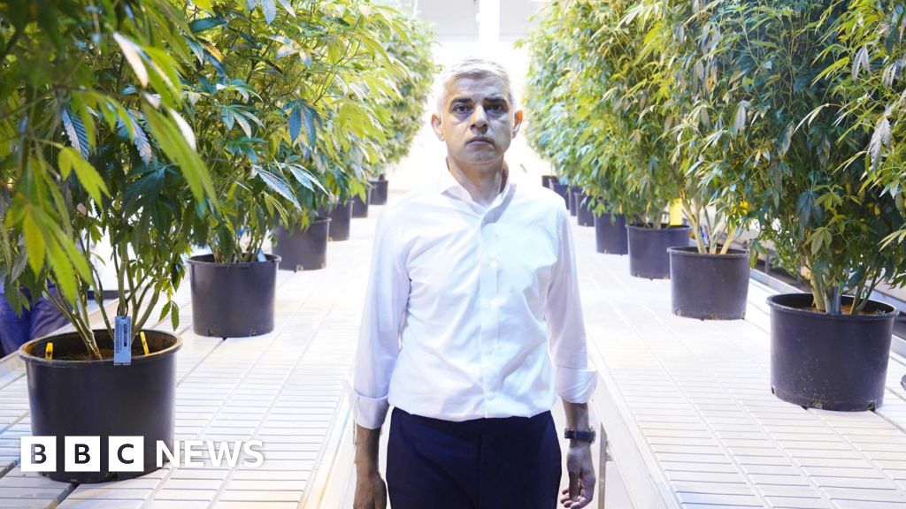 London Drugs Commission to look at legalising cannabis