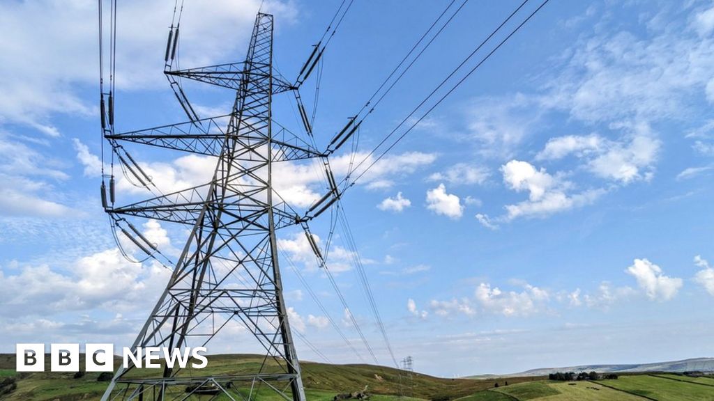 Electricity upgrade plan includes miles of pylons