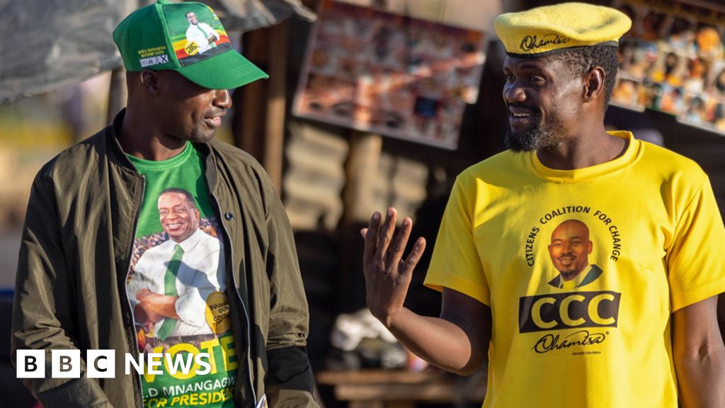 Избори в Зимбабве: Пиле и чипс подлагат на изпитание вкуса към демокрацията