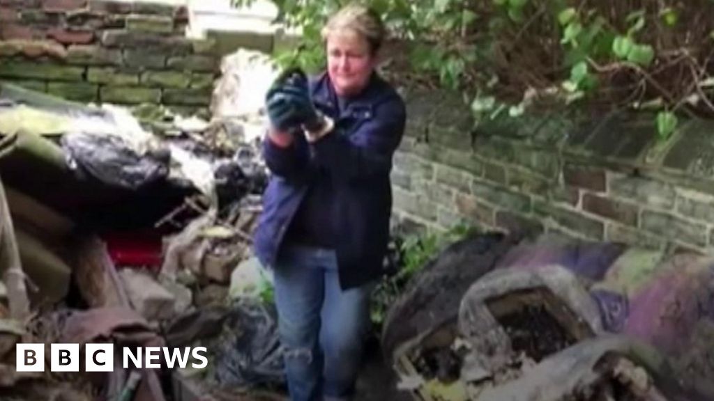 Bradford cat rescue charity urge people to get pets neutered