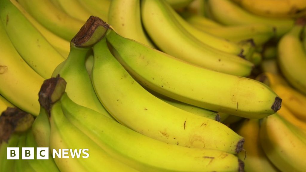 Polish protest after gallery removes suggestive banana art - BBC ...