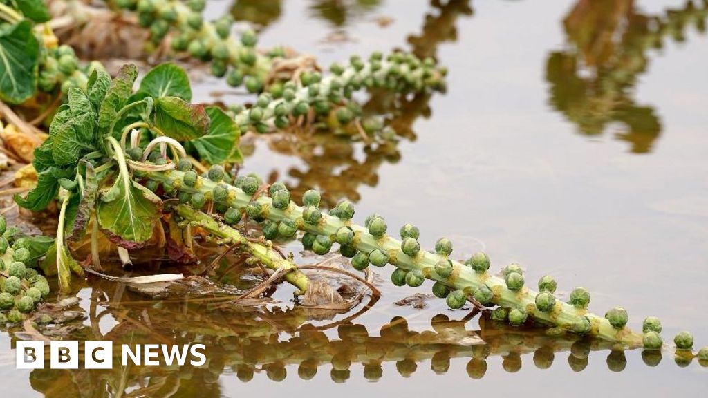 UK food production at threat after extreme flooding