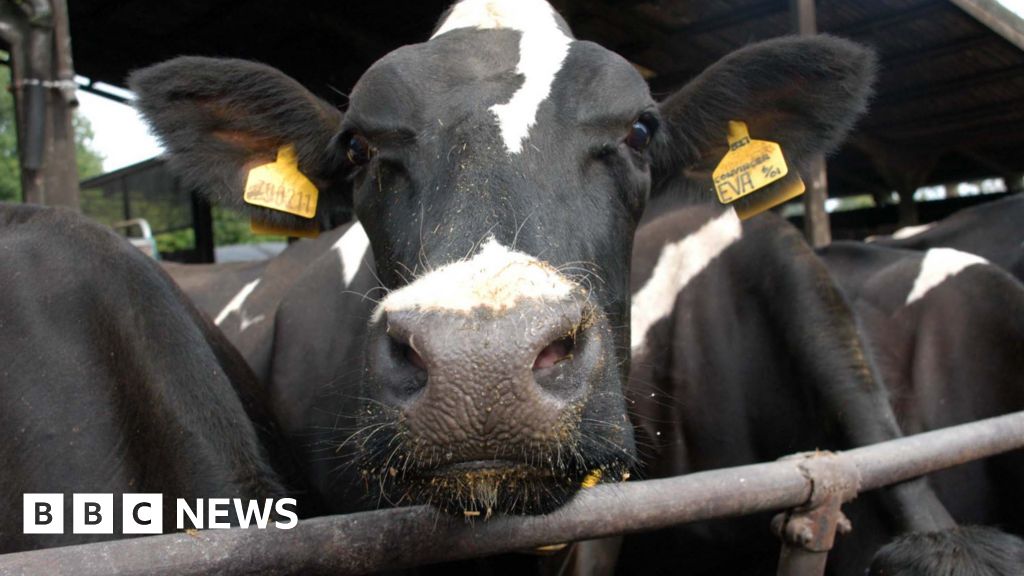 Vegan advert claiming 'Humane milk is a myth' cleared by ASA