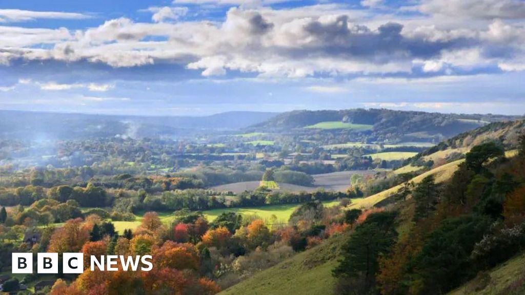 Surrey Council Proposes Two Unitary Authorities for Local Governance Reorganization