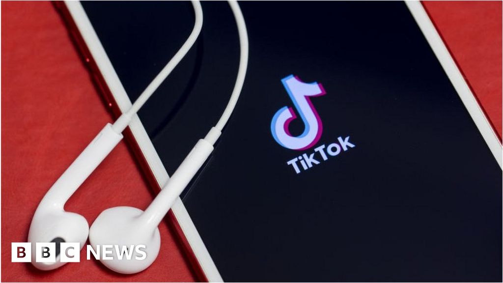 TikTok: Little Brighouse suspended over anti-Semitic clip 