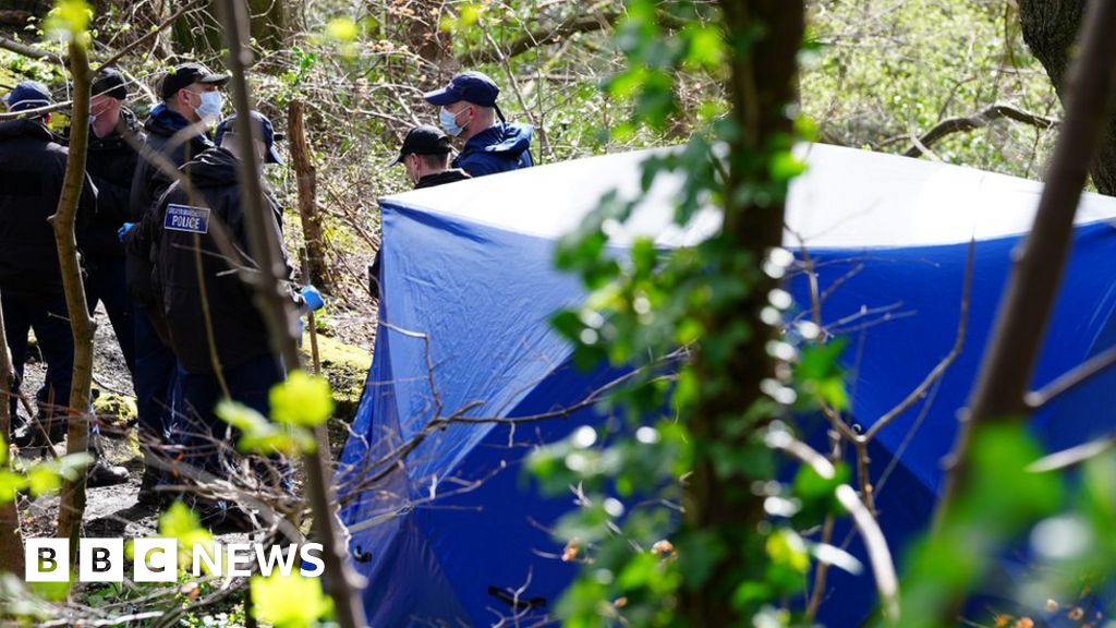 Murder arrest over torso found in woodland