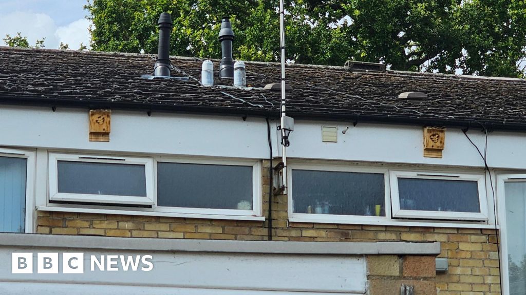 Residents install bat boxes to slow redevelopment