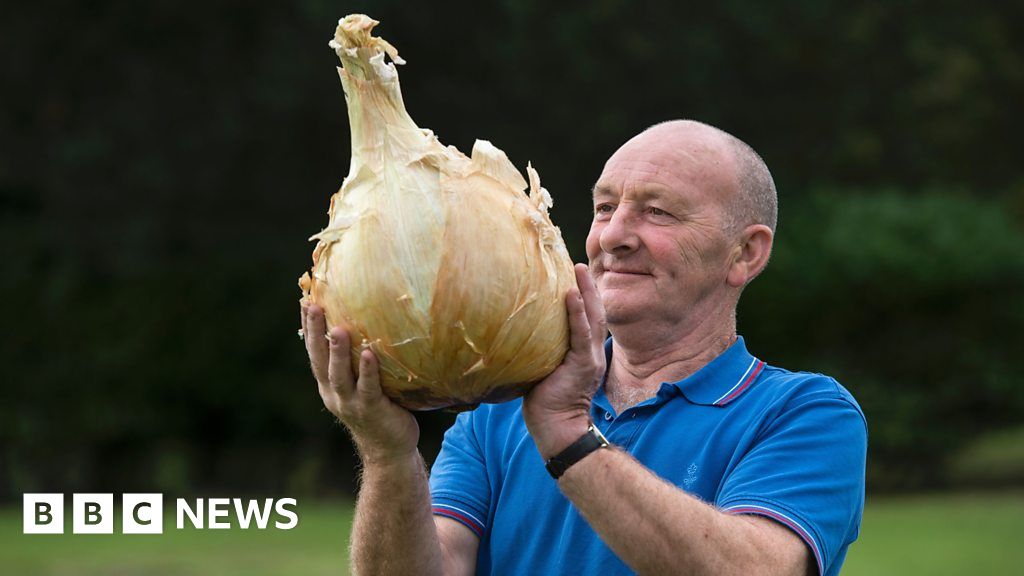 Man's giant vegetables set new world records thumbnail