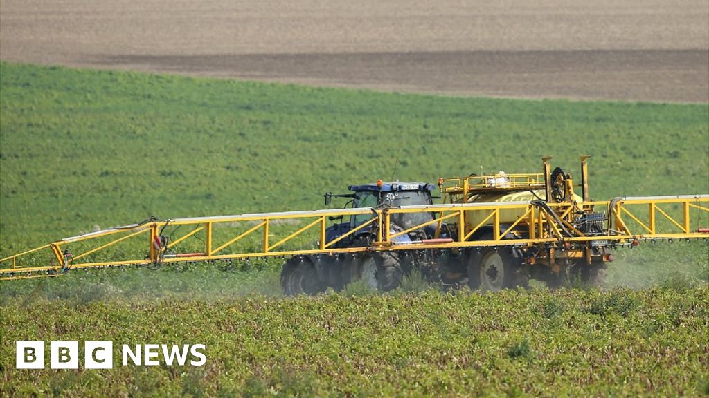 German firms Bayer and BASF fight $265m US fine over weedkiller