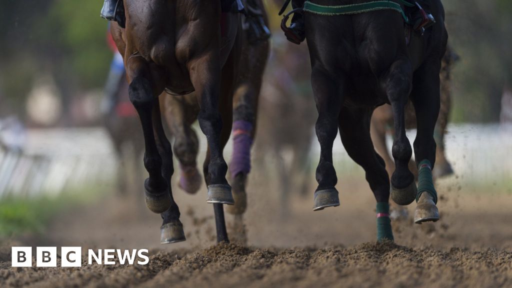 Horse racing: Inside the abattoir slaughtering racehorses