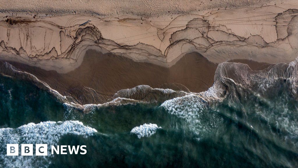 Huntington Beach: California oil spill sparks concern for wildlife