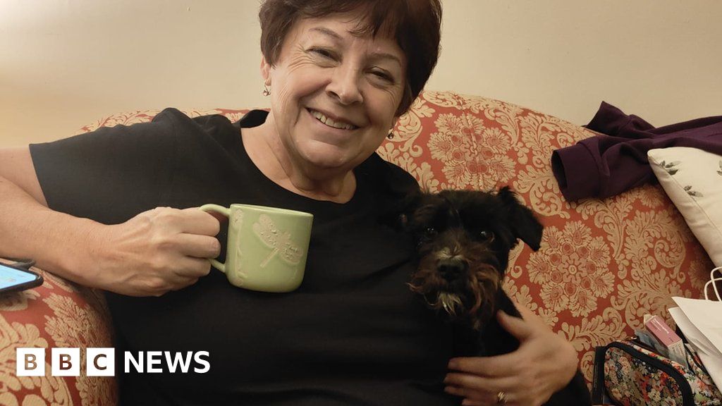 Bran the dog safely back home after journey in stolen van