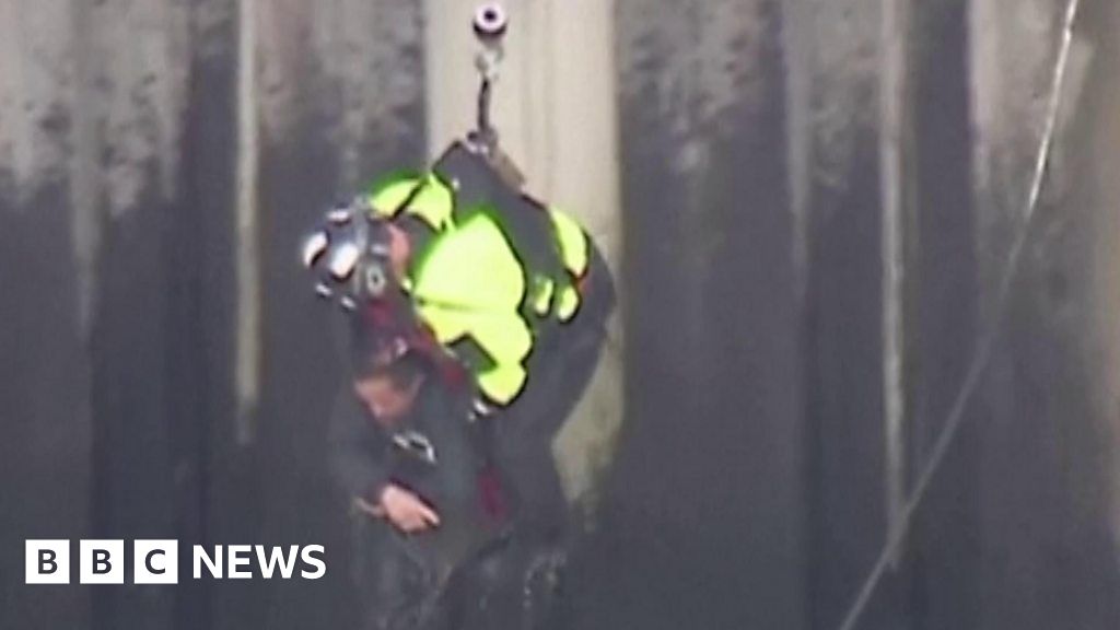 Watch: Man clings on for all times in harrowing river rescue