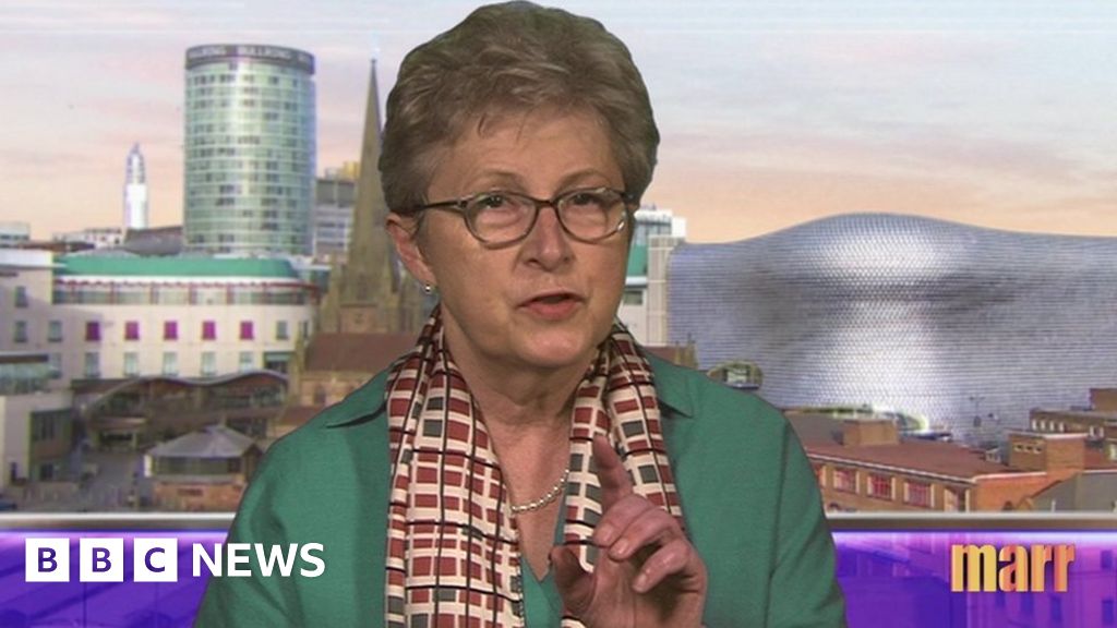 Brexit Fine Ex Vote Leave Chairwoman Does Not Apologise Over Spend