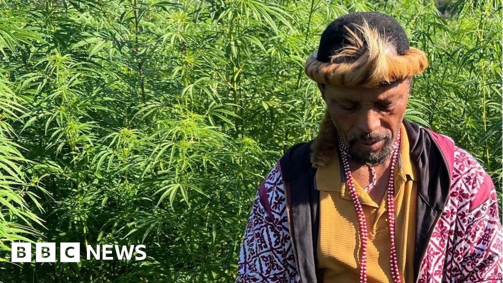 Pondoland: South Africa’s cannabis growers left behind by legalisation plans